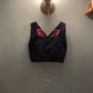 Fabletics Sports Bra (Size M)